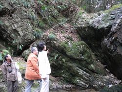 この日も水枯れの「御主殿の滝」